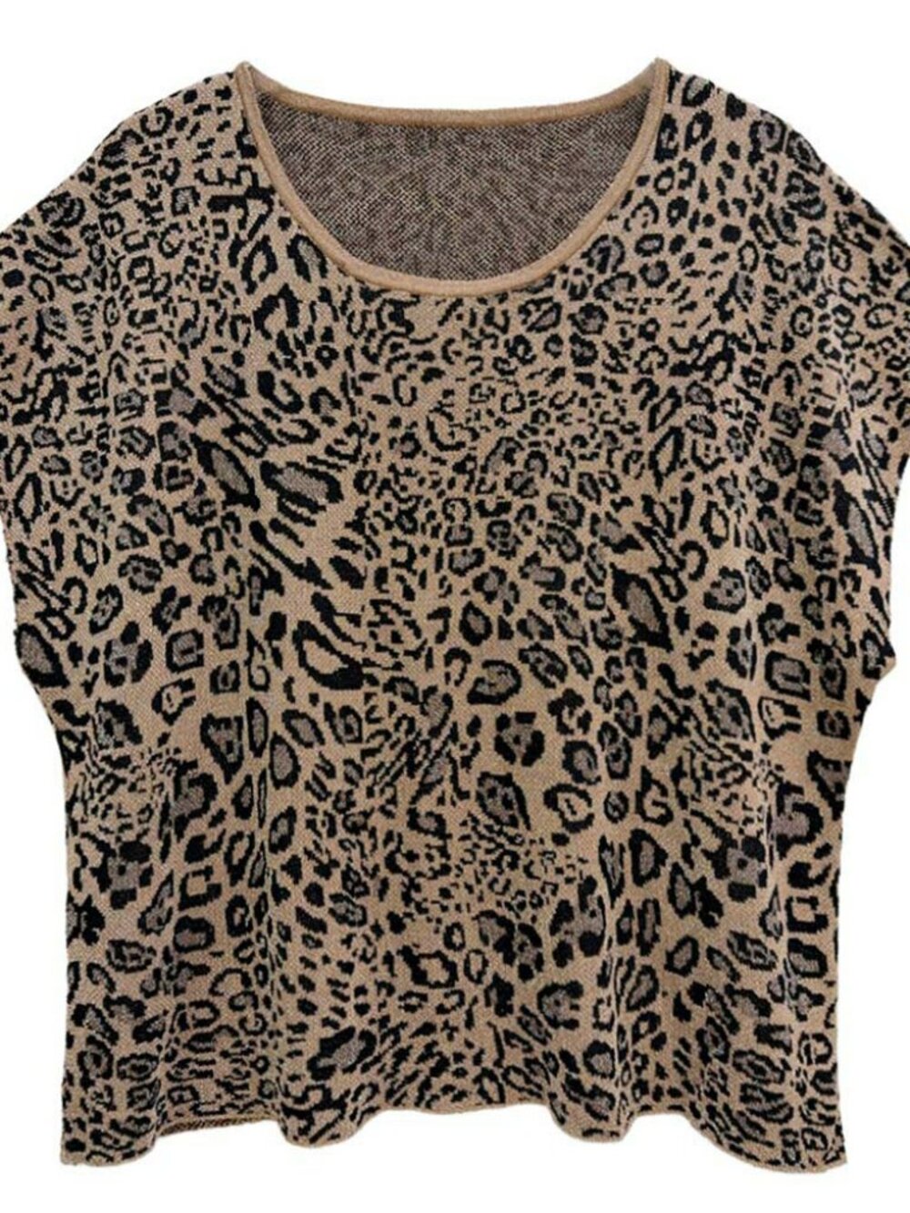 Relaxed Fit Short Sleeve Leopard Print Lurex Knit Top